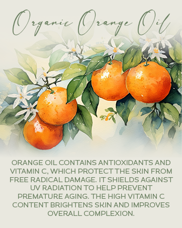 Whipped Beef Tallow Face Moisturizer